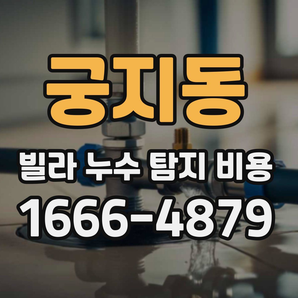 궁지동 빌라 누수 탐지 비용