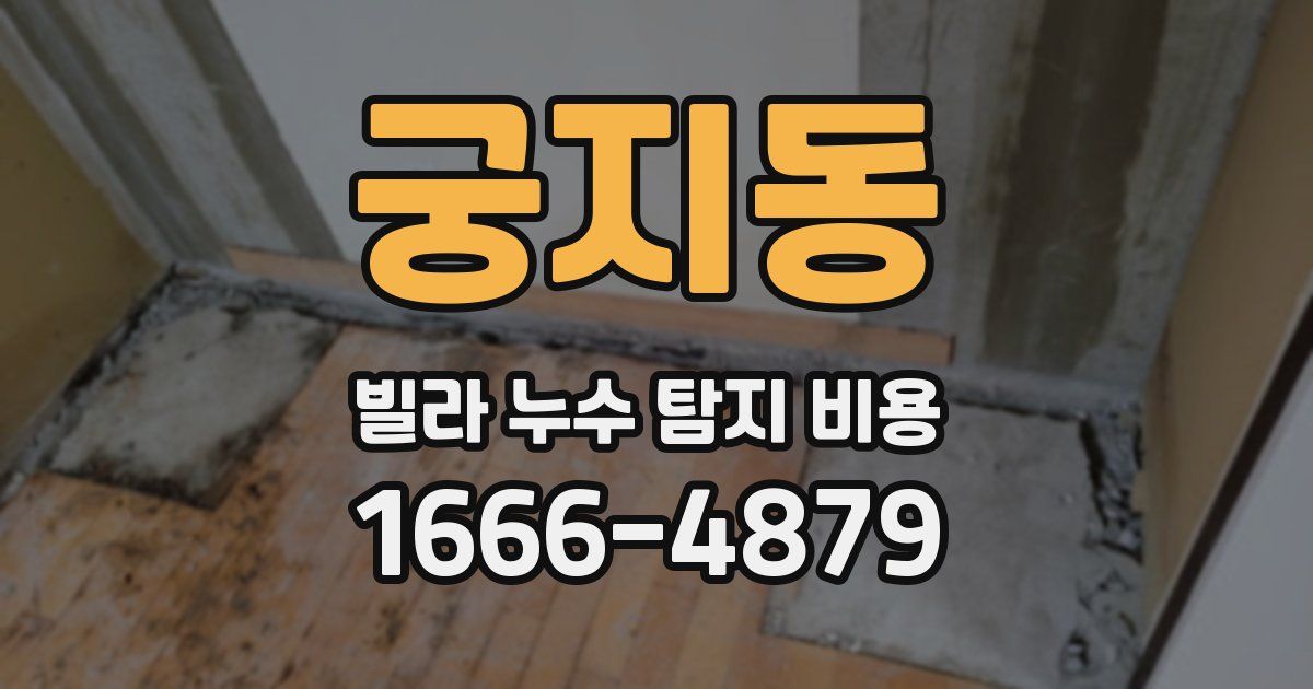 궁지동 빌라 누수 탐지 비용