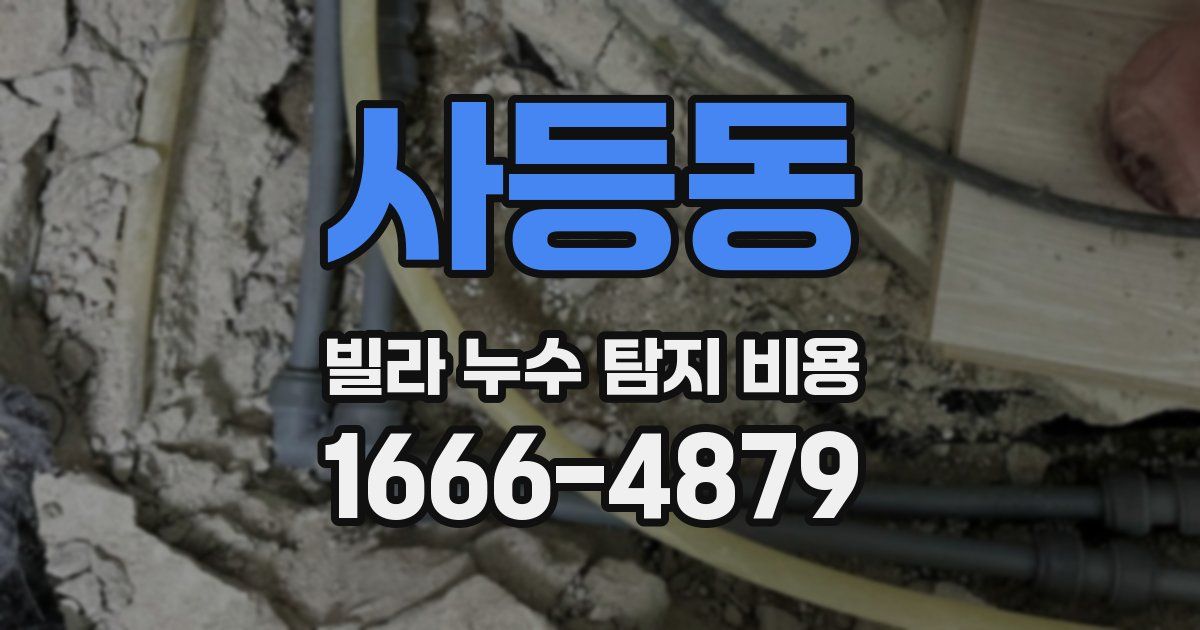 사등동 빌라 누수 탐지 비용