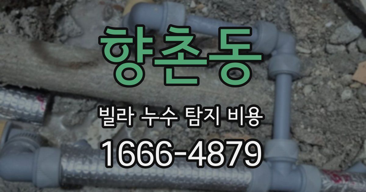 향촌동 빌라 누수 탐지 비용
