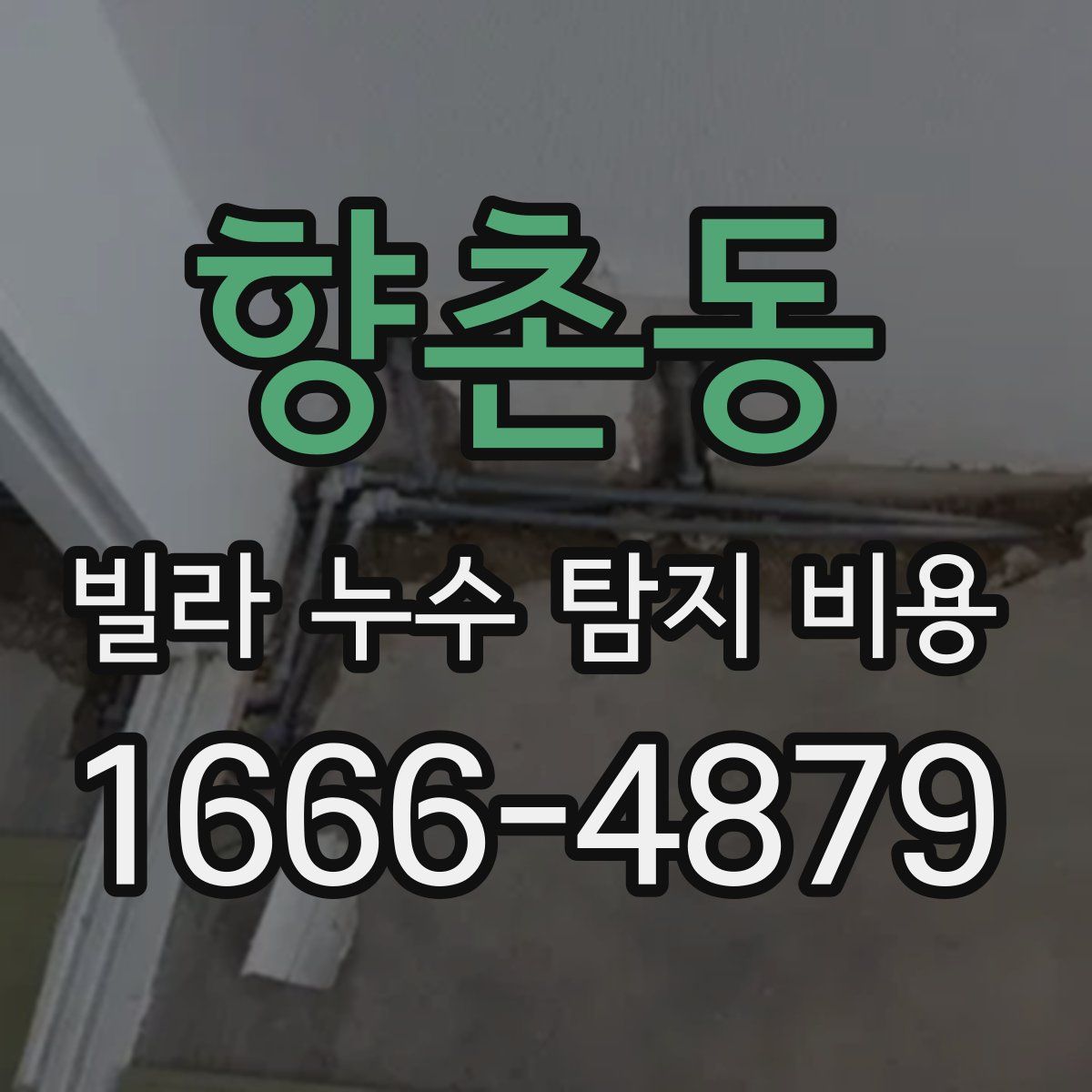 향촌동 빌라 누수 탐지 비용