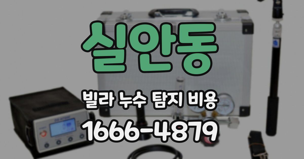 실안동 빌라 누수 탐지 비용