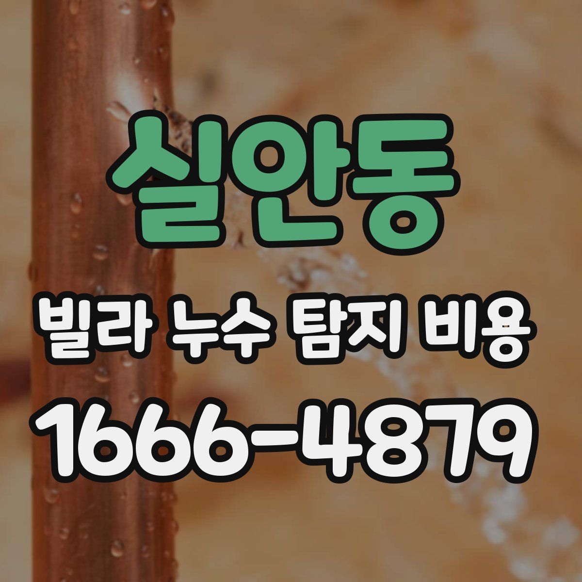 실안동 빌라 누수 탐지 비용