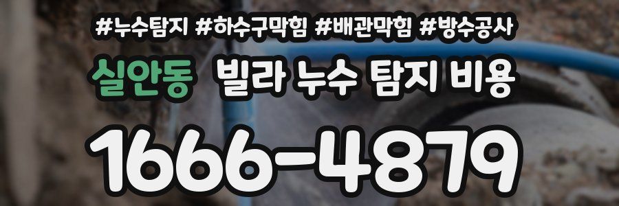 실안동 빌라 누수 탐지 비용