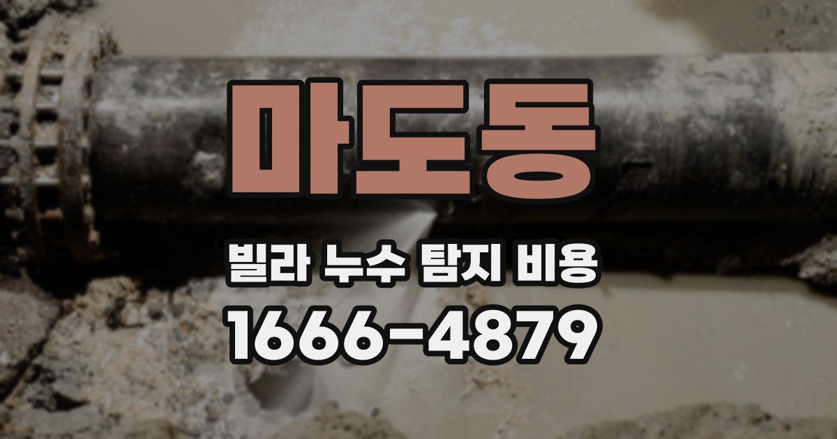 마도동 빌라 누수 탐지 비용