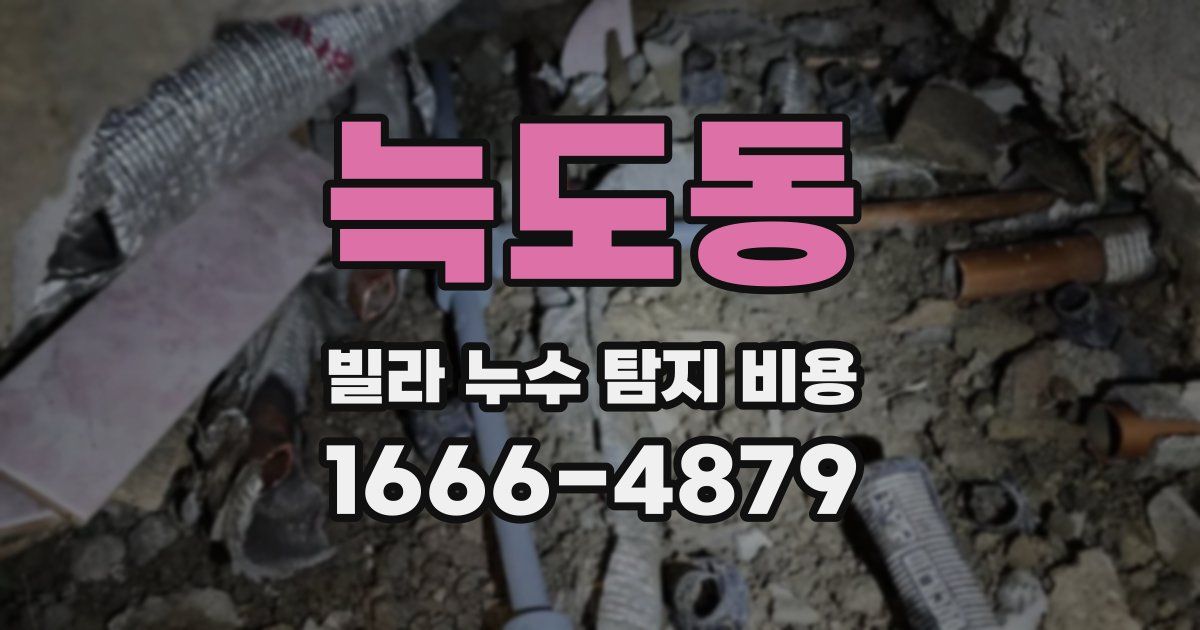 늑도동 빌라 누수 탐지 비용