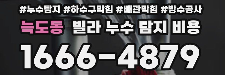 늑도동 빌라 누수 탐지 비용