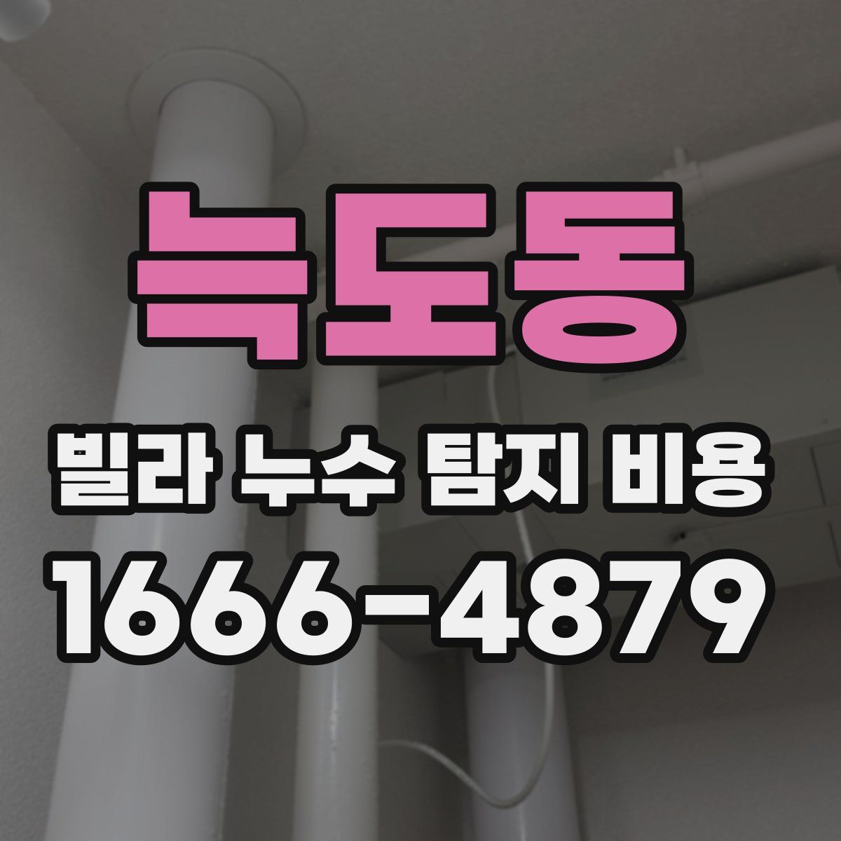 늑도동 빌라 누수 탐지 비용
