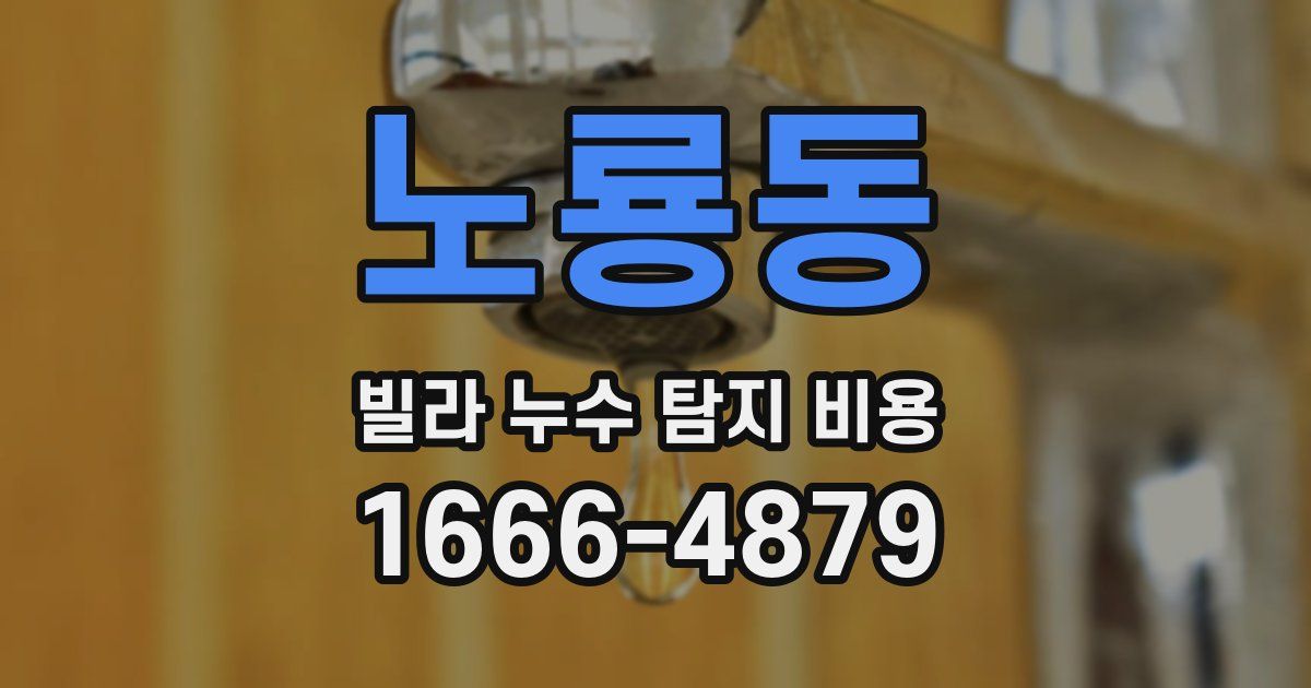 노룡동 빌라 누수 탐지 비용