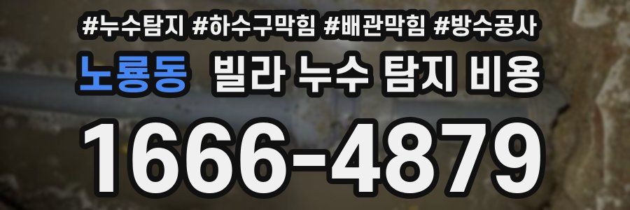 노룡동 빌라 누수 탐지 비용