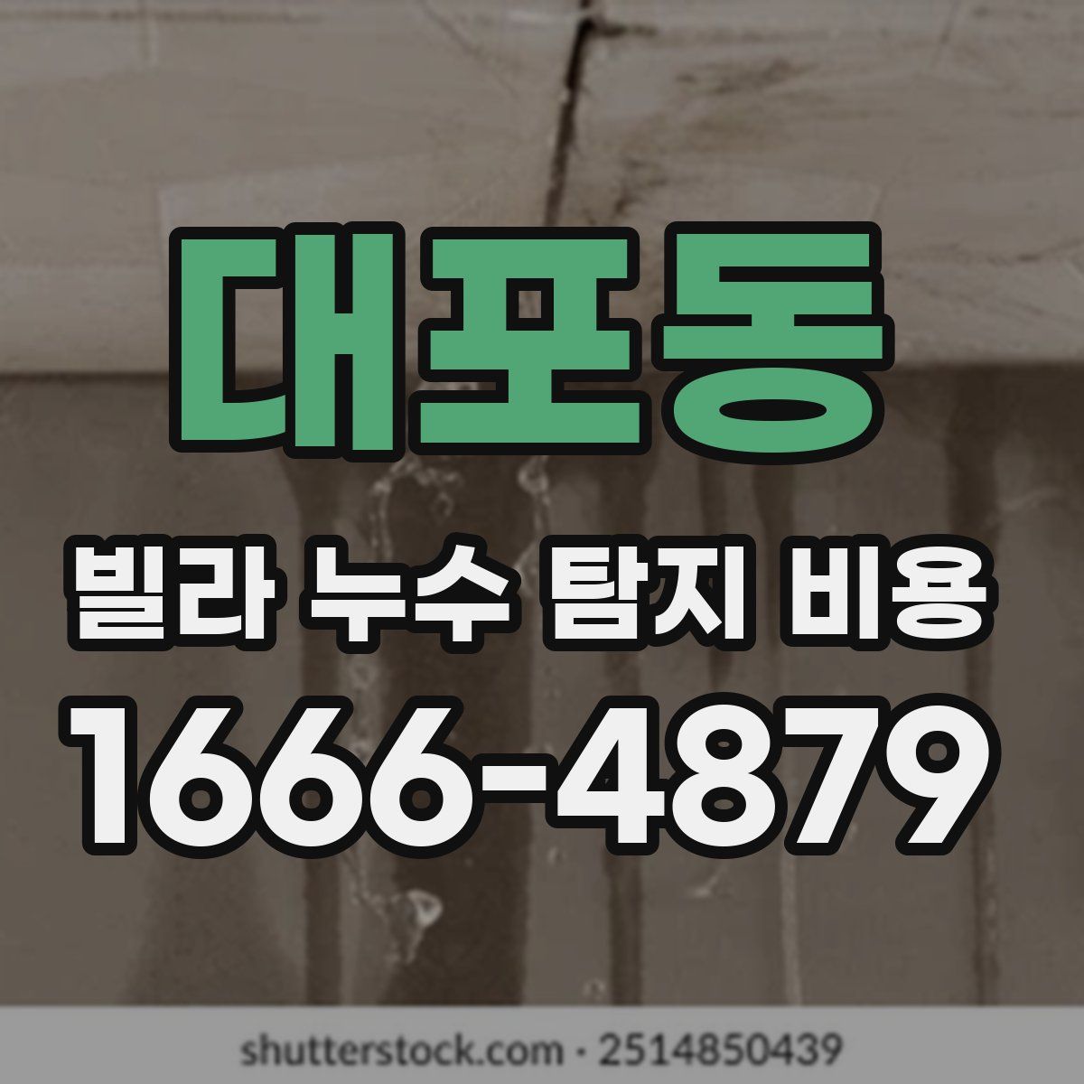 대포동 빌라 누수 탐지 비용
