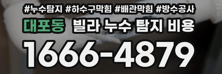 대포동 빌라 누수 탐지 비용