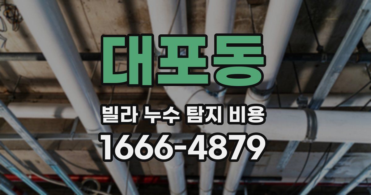 대포동 빌라 누수 탐지 비용