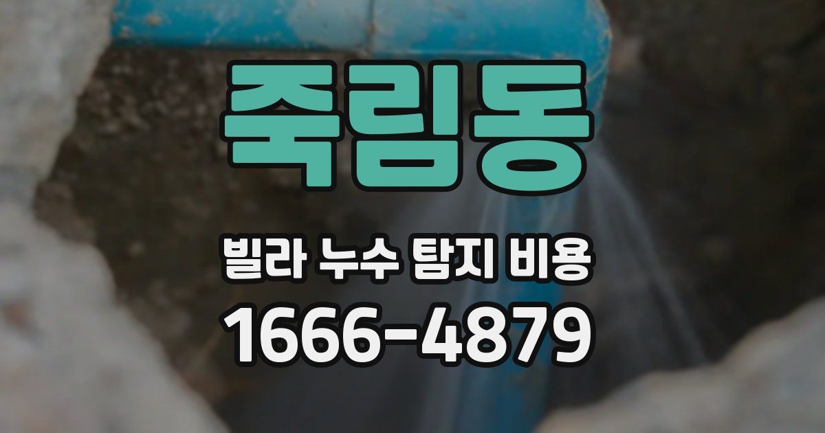 죽림동 빌라 누수 탐지 비용