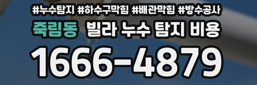 죽림동 빌라 누수 탐지 비용