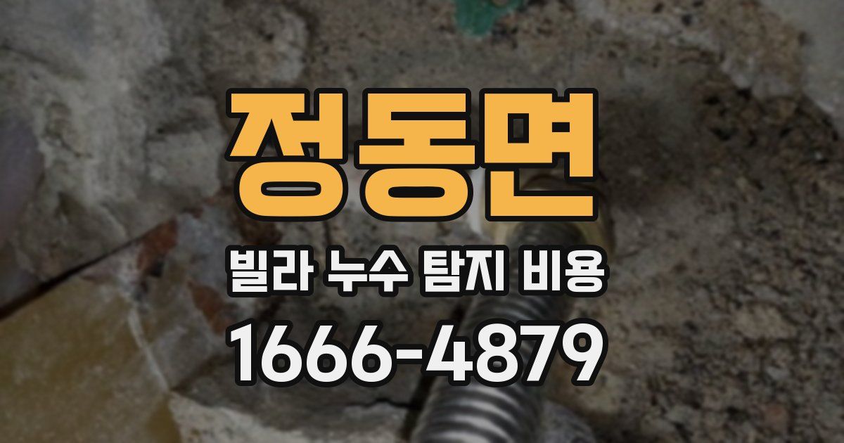 정동면 빌라 누수 탐지 비용