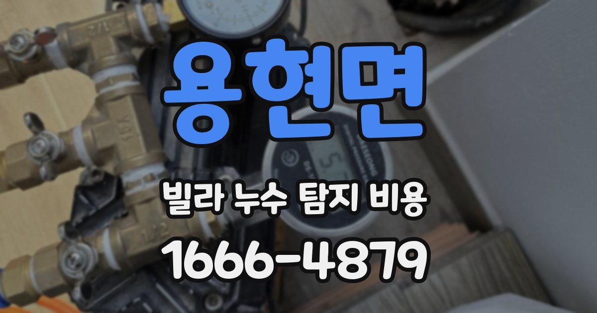 용현면 빌라 누수 탐지 비용