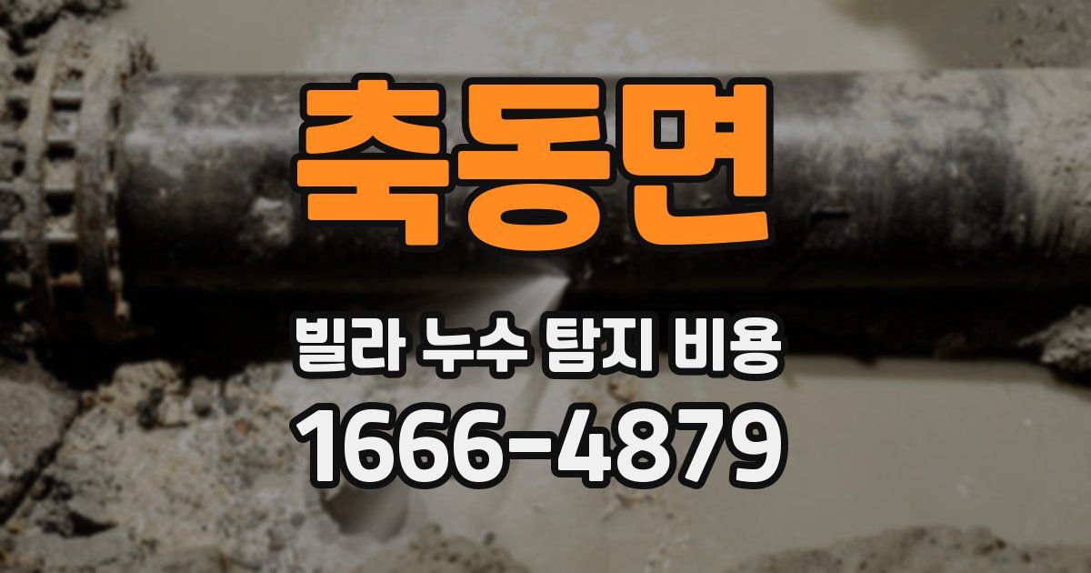 축동면 빌라 누수 탐지 비용