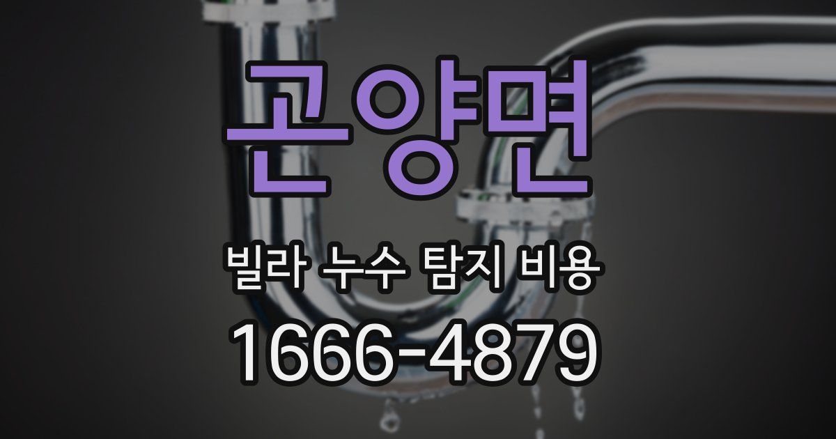 곤양면 빌라 누수 탐지 비용