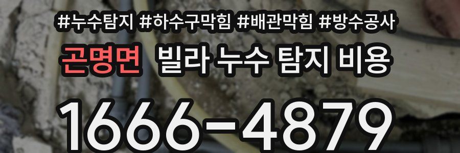 곤명면 빌라 누수 탐지 비용