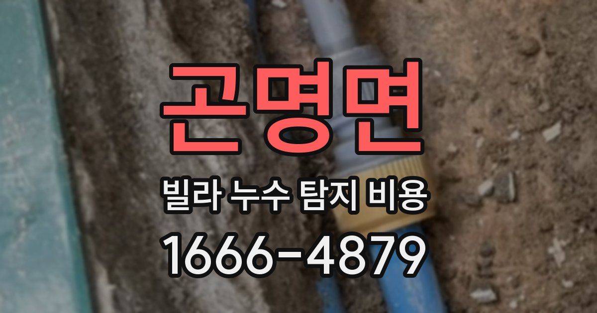 곤명면 빌라 누수 탐지 비용