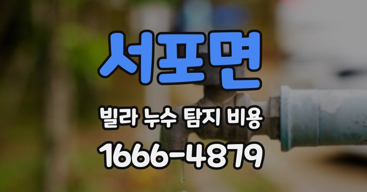 서포면 빌라 누수 탐지 비용