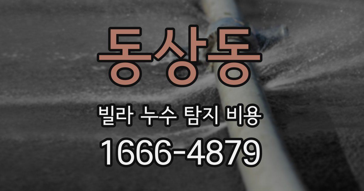 동상동 빌라 누수 탐지 비용