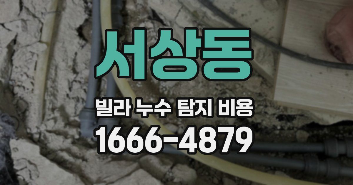 서상동 빌라 누수 탐지 비용