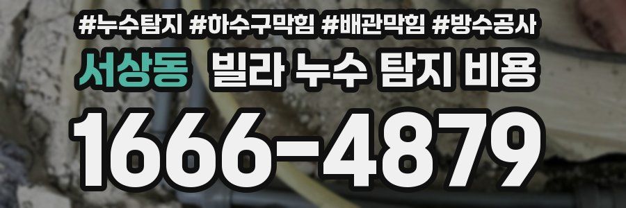 서상동 빌라 누수 탐지 비용
