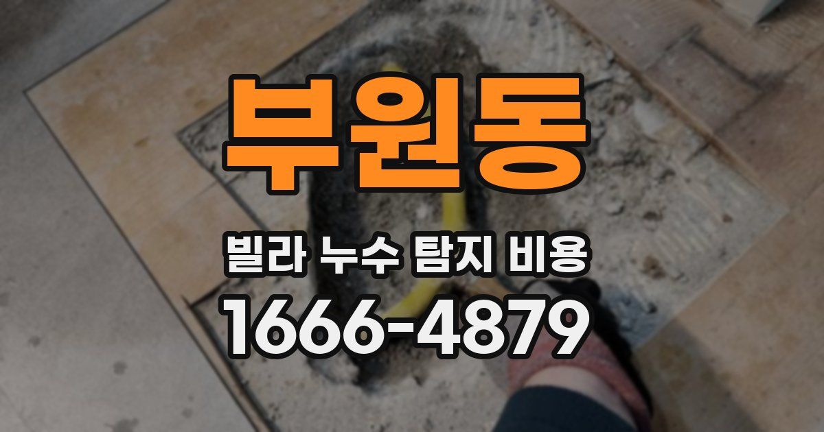 부원동 빌라 누수 탐지 비용