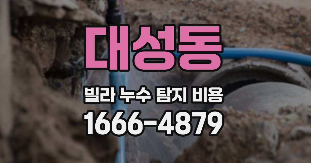 대성동 빌라 누수 탐지 비용