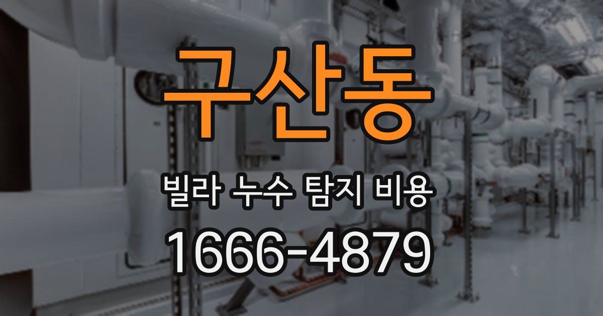 구산동 빌라 누수 탐지 비용