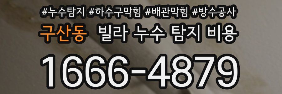 구산동 빌라 누수 탐지 비용