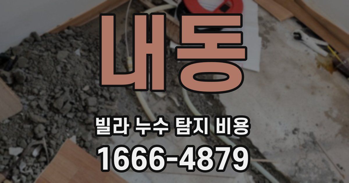 내동 빌라 누수 탐지 비용