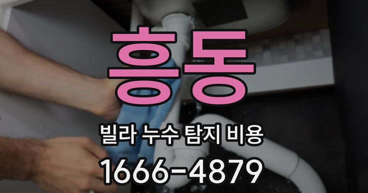 흥동 빌라 누수 탐지 비용