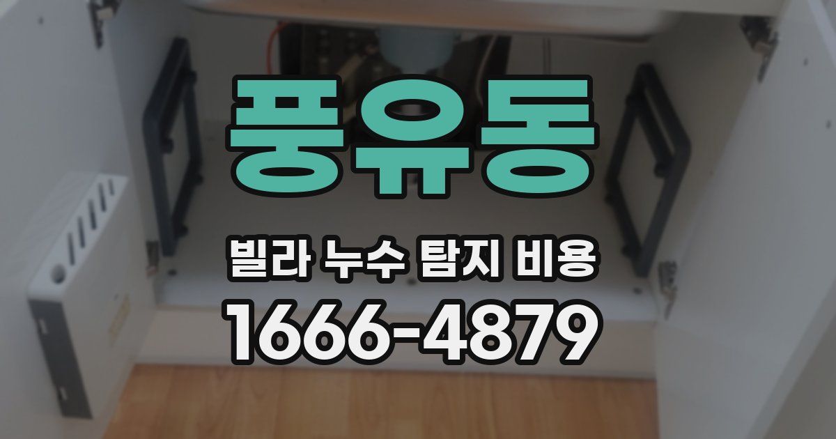 풍유동 빌라 누수 탐지 비용