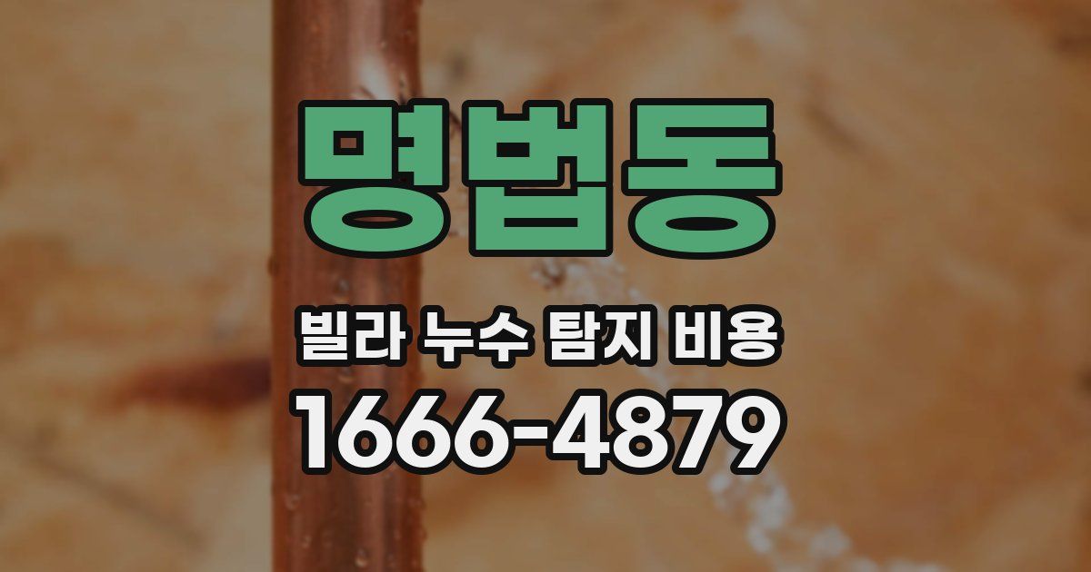 명법동 빌라 누수 탐지 비용