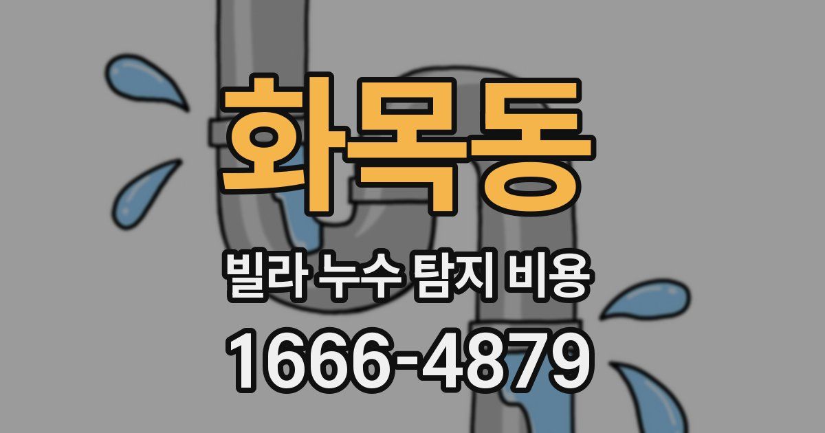 화목동 빌라 누수 탐지 비용