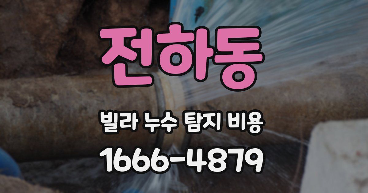 전하동 빌라 누수 탐지 비용