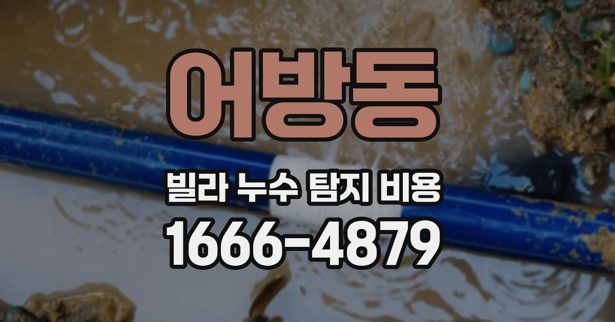 어방동 빌라 누수 탐지 비용