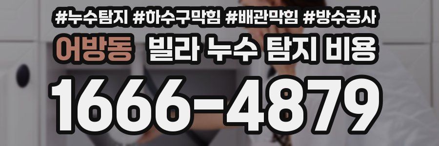 어방동 빌라 누수 탐지 비용