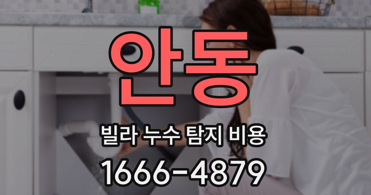 안동 빌라 누수 탐지 비용