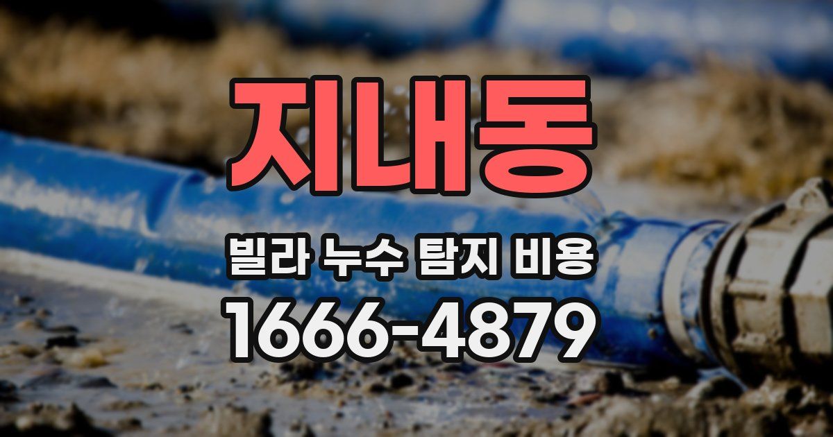 지내동 빌라 누수 탐지 비용