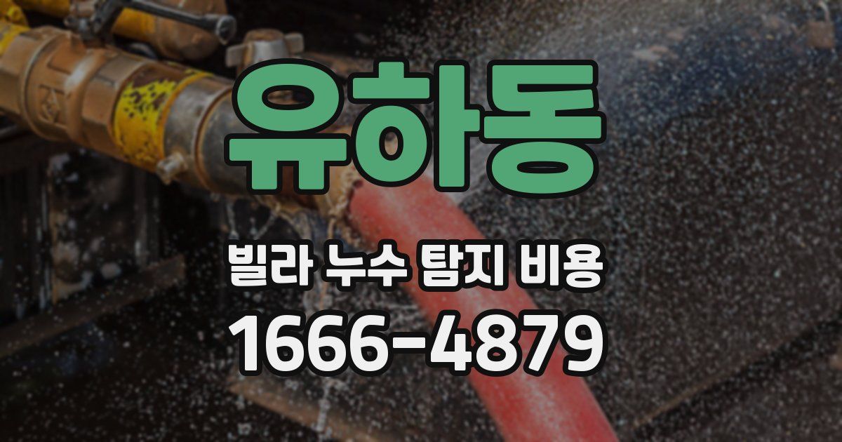 유하동 빌라 누수 탐지 비용