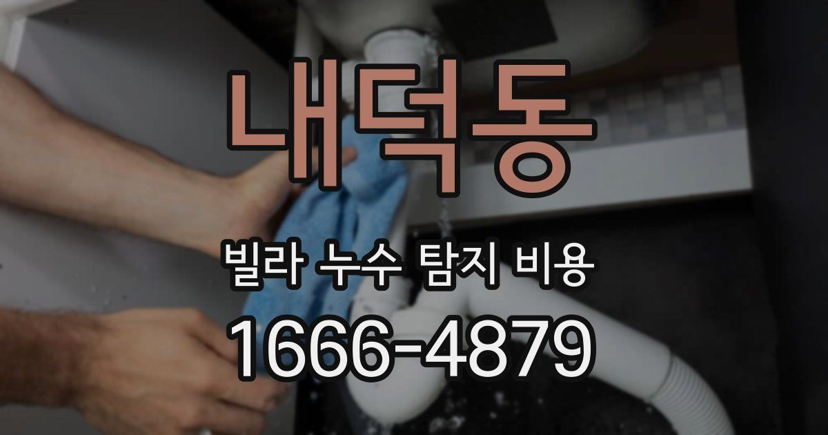 내덕동 빌라 누수 탐지 비용