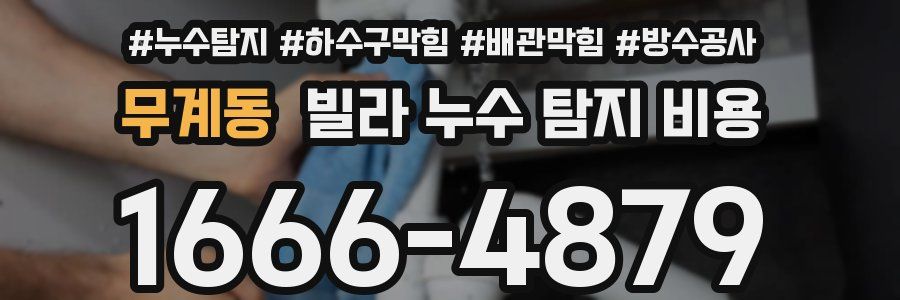 무계동 빌라 누수 탐지 비용