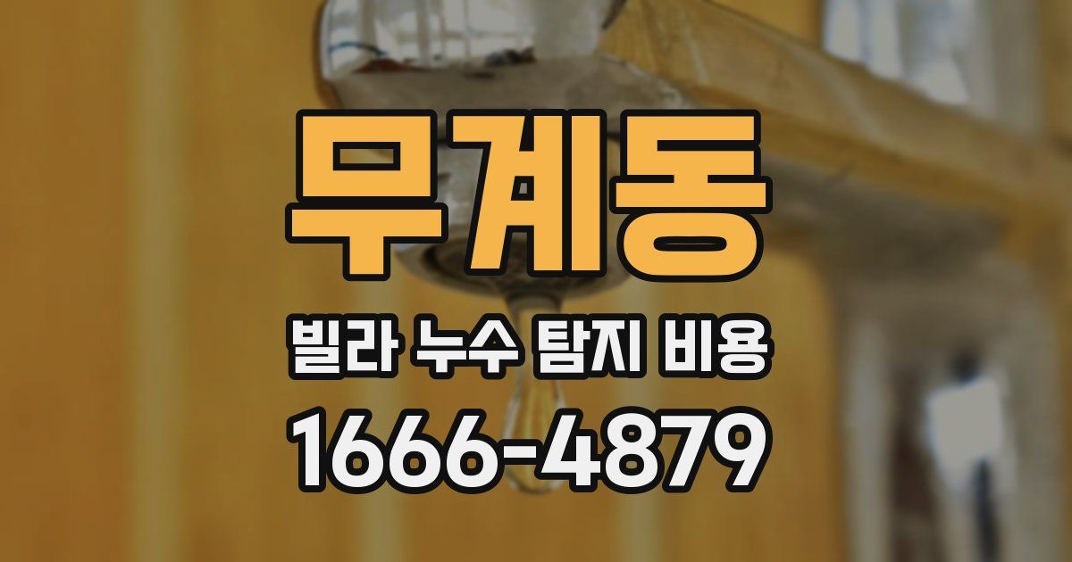 무계동 빌라 누수 탐지 비용
