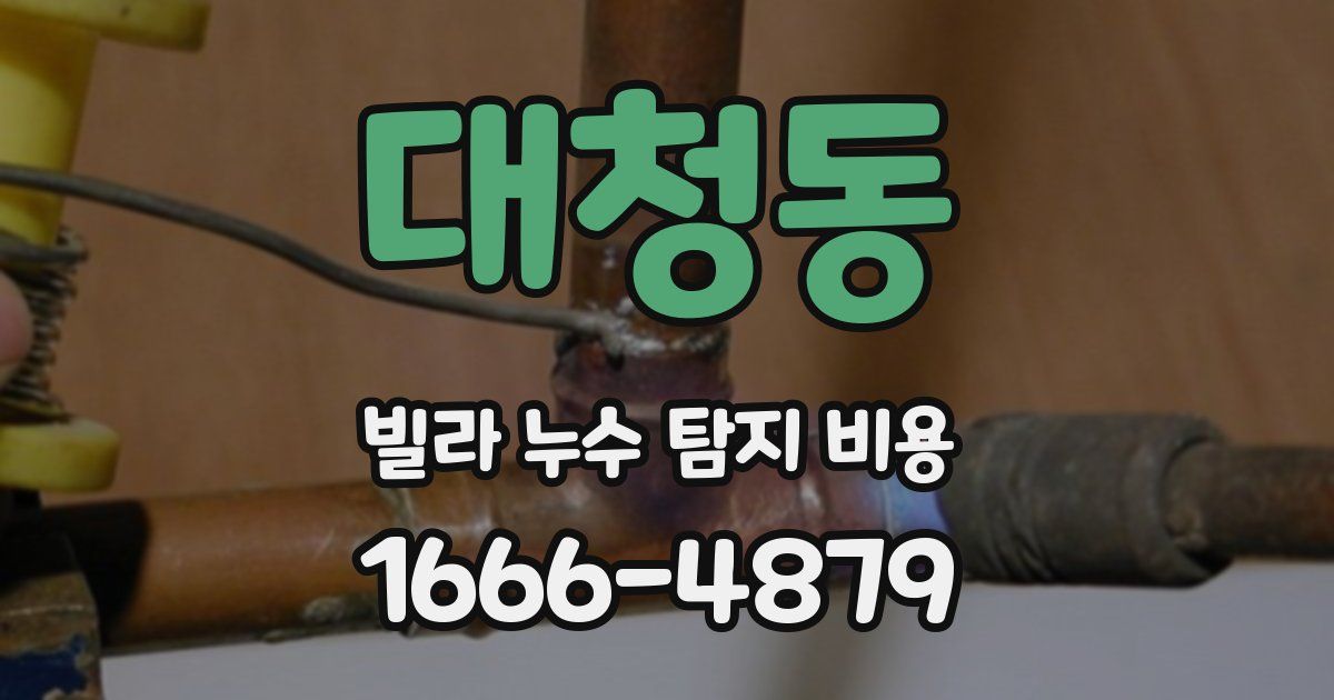 대청동 빌라 누수 탐지 비용