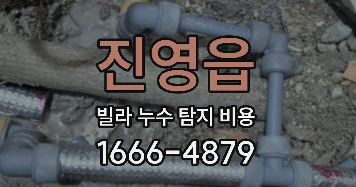 진영읍 빌라 누수 탐지 비용