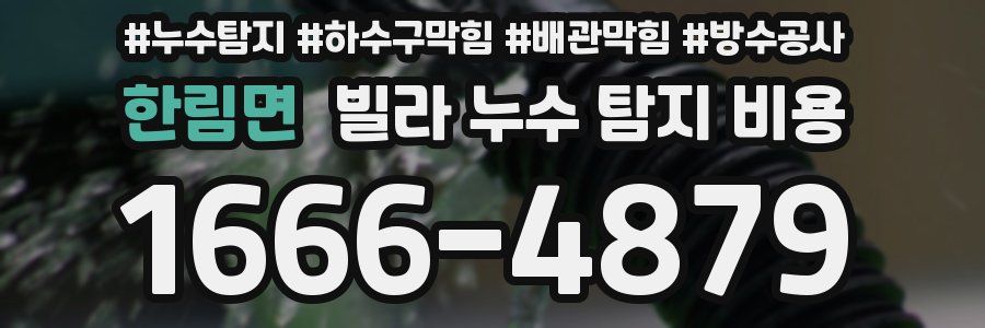 한림면 빌라 누수 탐지 비용